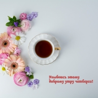 Улыбнись этому доброму утру четверга!