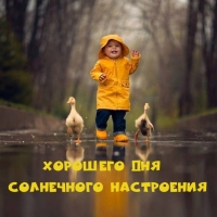 Хорошего дня Солнечного настроения
