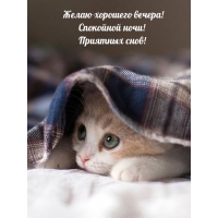 Желаю хорошего вечера! Спокойной ночи! Приятных снов!