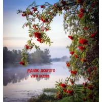 Желаю доброго утра осени!
