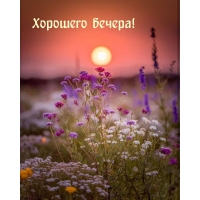 Хорошего вечера!