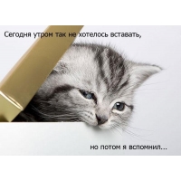 Сегодня утром так не хотелось вставать, но потом я вспомнил