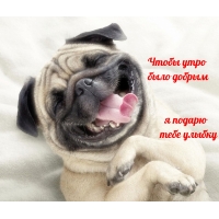 Я подарю тебе улыбку!