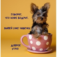 Говорят, что кофе бодрит. Выпей уже чашечку)