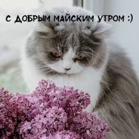 С добрым майским утром :)