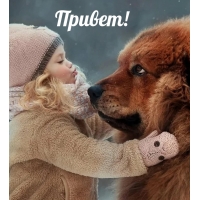 Привет!