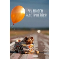 Чудного настроения!