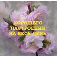Хорошего настроения на весь день!