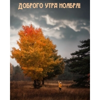 Доброго утра ноября!