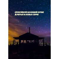 Спокойной весенней ночи! добрых и ясных снов!