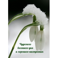 Чудесного весеннего дня  и хорошего настроения