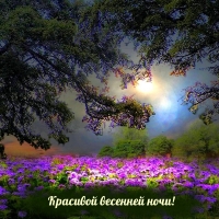 Красивой весенней ночи!