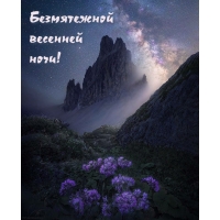 Безмятежной весенней ночи!