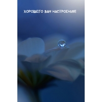 Хорошего вам настроения!