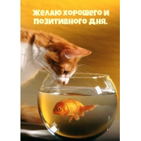 Желаю хорошего и позитивного дня.