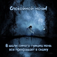 Спокойной ночи! В шали синего тумана ночь все превращает в сказку
