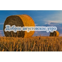 Доброе августовское утро!