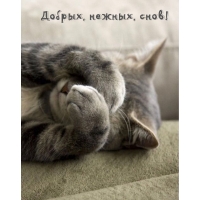 Добрых, нежных, снов!