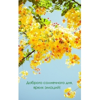 Доброго солнечного дня, ярких эмоций!