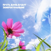 Пусть день будет замечательным!