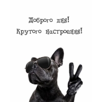 Доброго дня! Крутого настроения!