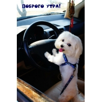 Доброго утра!