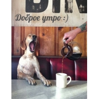 Доброе утро :)