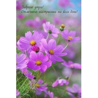 Доброго утра! Отличного настроения на весь день!