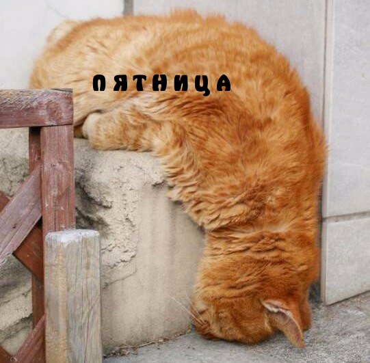 Пятница