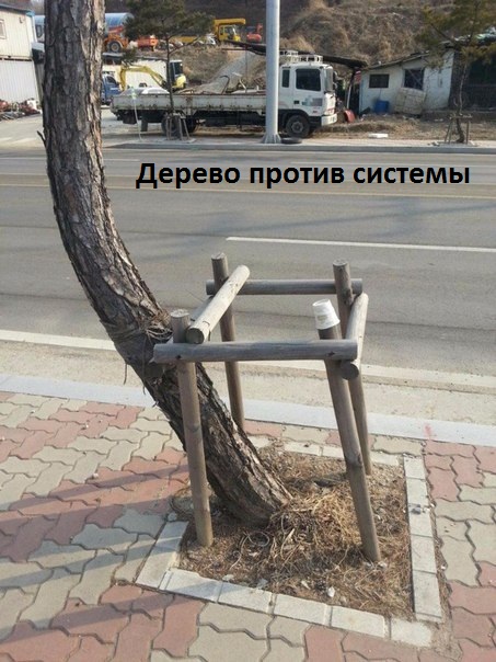 На зло системе