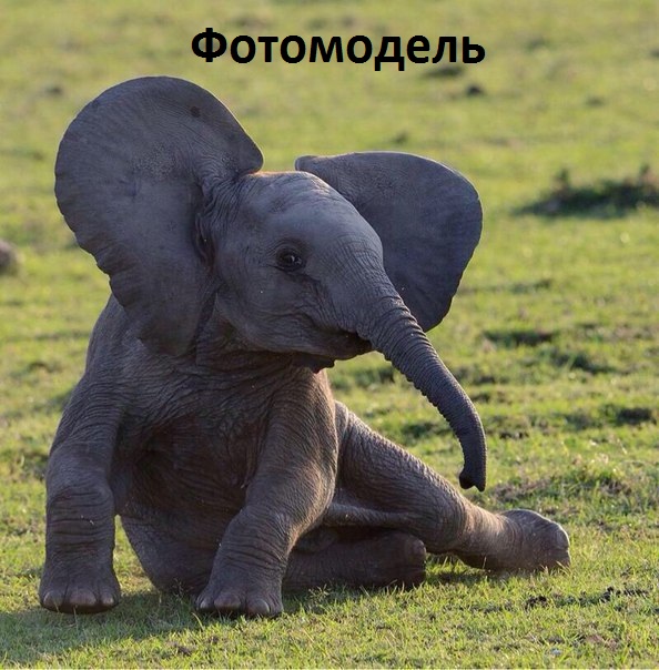 Фотомодель