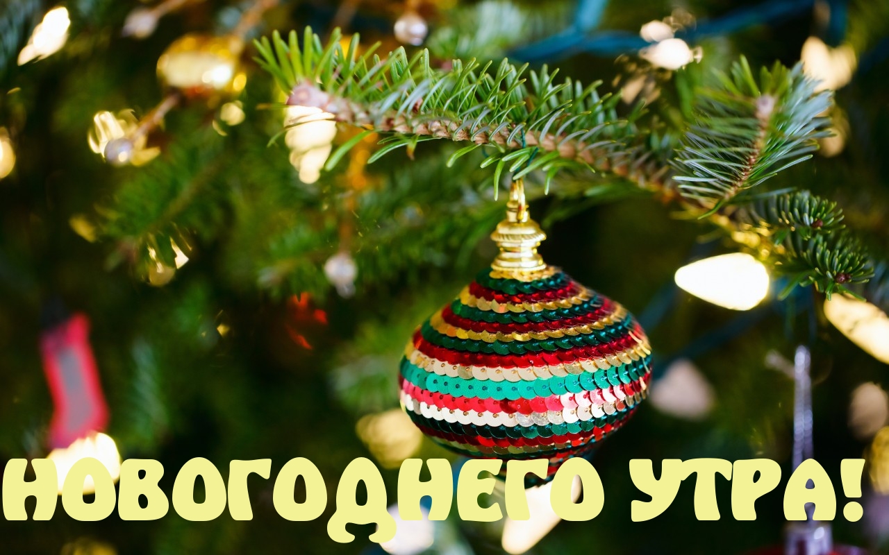 НОВОГОДНЕГО УТРА!