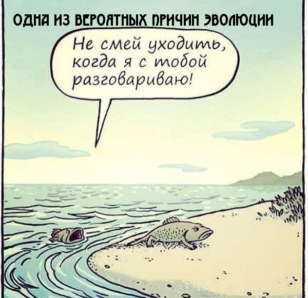 Толчок для эволюции