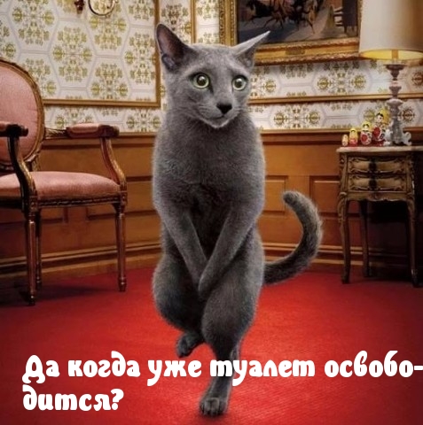 Картинки с надписями.  Туалет занят.