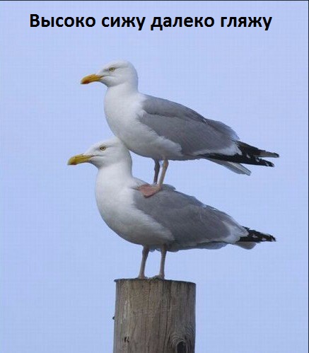 Картинки с надписями.  Друг поможет.