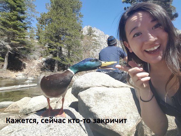 Сейчас будет боль