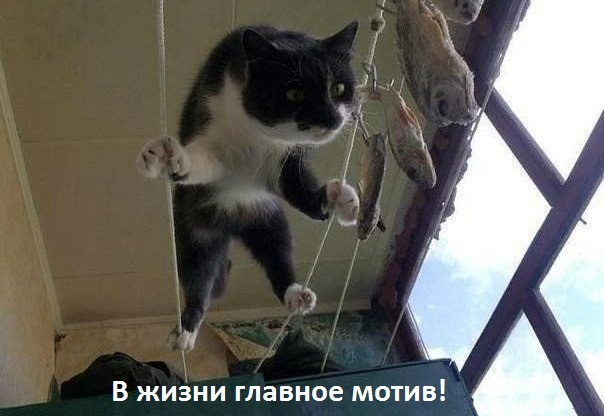 Мотив и стимул решают