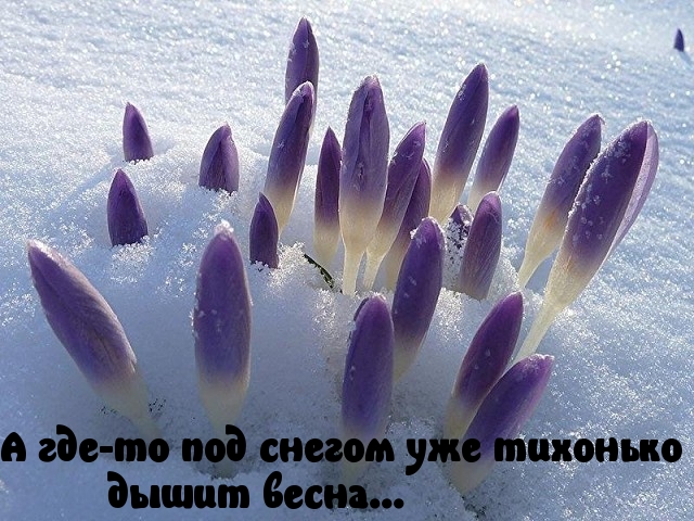 Дыхание весны