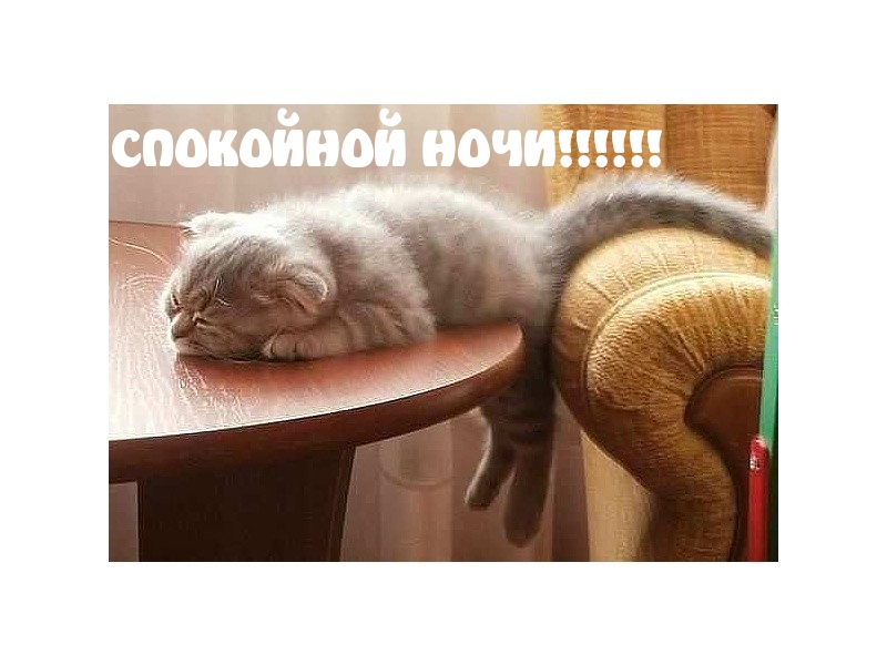 СПОКОЙНОЙ НОЧИ!