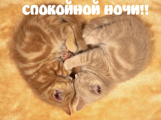 СПОКОЙНОЙ НОЧИ!