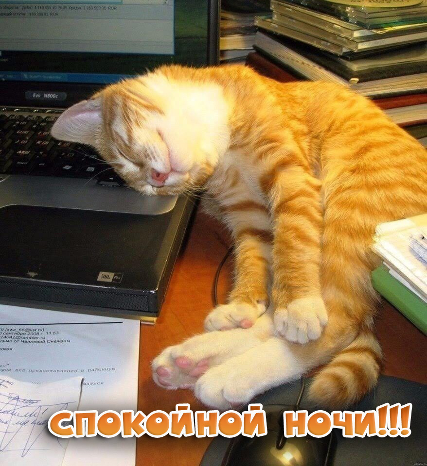 СПОКОЙНОЙ НОЧИ!