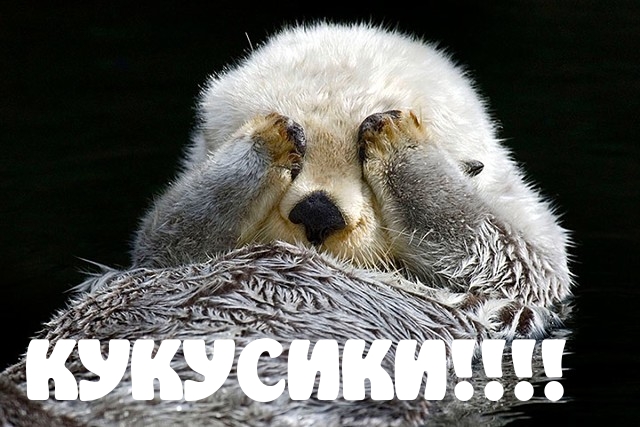 КУКУСИКИ!