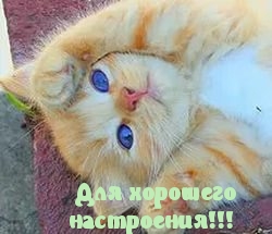Для хорошего настроения!