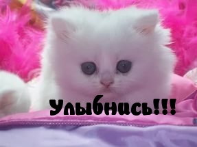 Улыбнись!