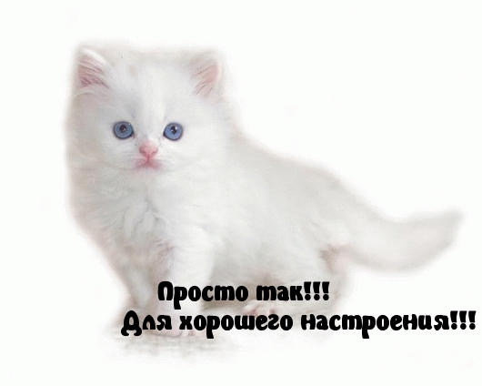 Для хорошего настроения!
