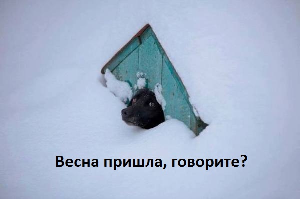 Это точно весна?