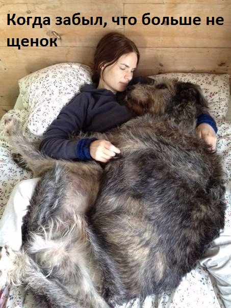 Забыл, что вырос