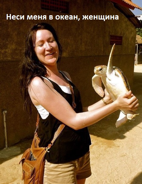 Неси меня в океан, женщина