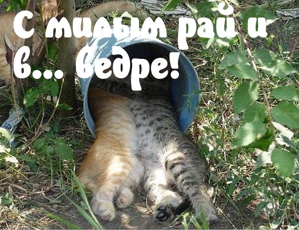 С милым рай и  в ведре!