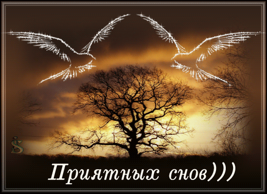 Приятных снов  — бесплатно